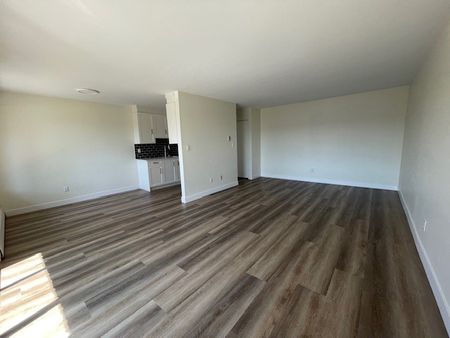 Newly Renovated Second Floor Apartment in White Rock - Photo 4