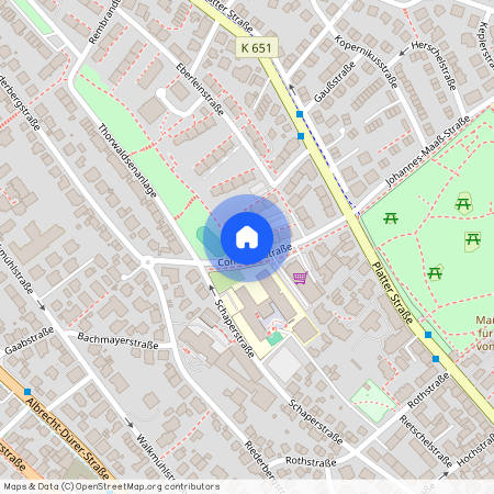 Comeniusstraße 6, 65195, Wiesbaden