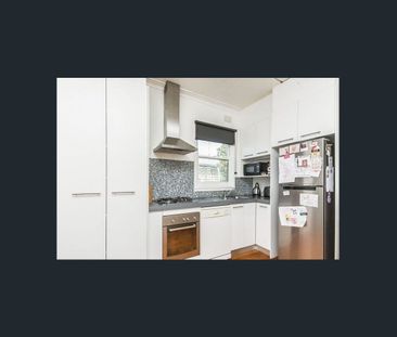 53 Marjorie Avenue, Belmont, Vic 3216 - Photo 5