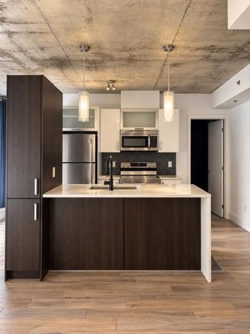 Appartement à louer - Montréal (Ville-Marie) (Centre) - Photo 3