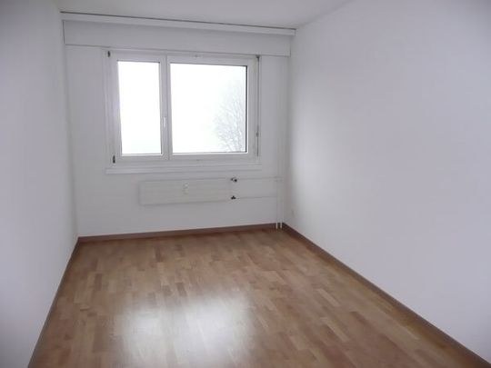 Familienfreundliche Überbauung im Grünen - Foto 1