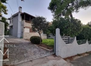 Μονοκατοικία για ενοικίαση - Άνοιξη - Photo 1