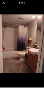 Chambre 1 1/2 acceptant 1 chat - Photo 4