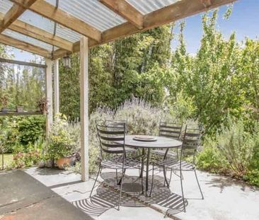 Secluded Studio - Pet Friendly - Photo 5