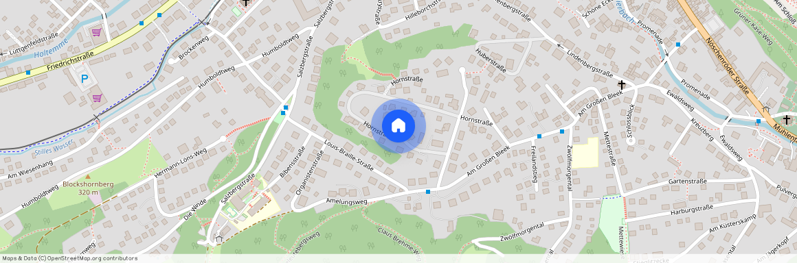 Hornstraße 31, 38855 Sachsen-Anhalt - Wernigerode