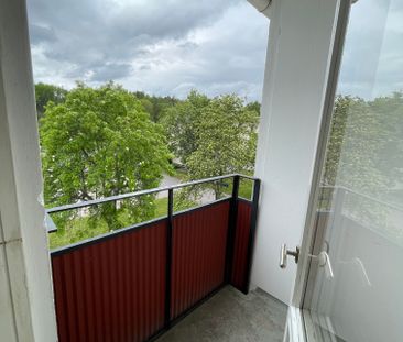 Mossebogatan, Sommen - Photo 4