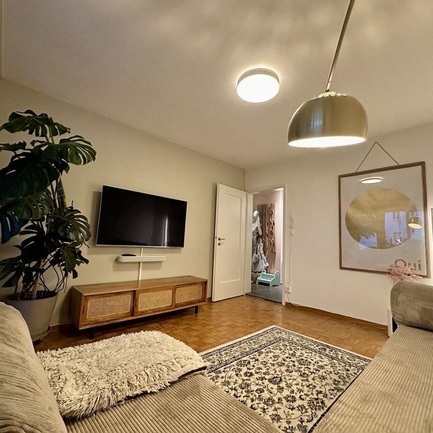 4-ROOM APARTMENT IN BERN – WEISSENBÜHL, FURNISHED, TEMPORARY - Photo 1