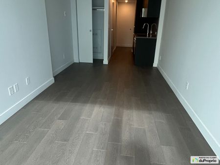 1500, Boulevard René-Levesque O, Ville-Marie (Centre-Ville et Vieux-Montréal) à louer - Photo 5