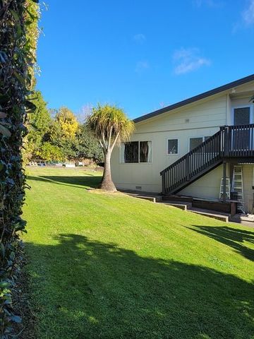 Charming 3BR Home w/ Garden in Te Puke! - Photo 4