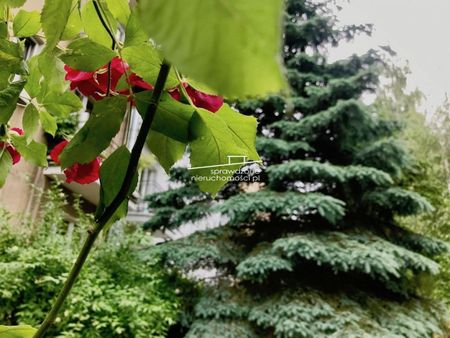 KLIMATYCZNE W KAMIENICY PRZY ŁAZIENKACH! UJAZDÓW - Photo 5