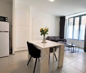 Location Appartement 2 pièces 55 m2 à Albi - Photo 5