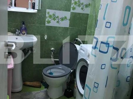 Garsoniera decomandata, pet friendly, zona strazii Oasului - Fotografie 4