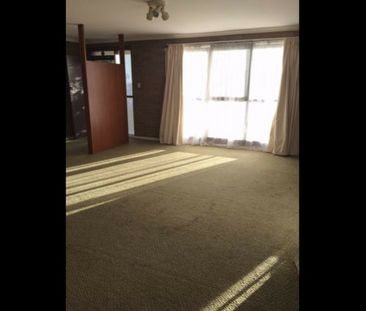 27 Muresk Street, Farrer ACT, Belconnen - Photo 4