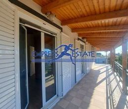 Μονοκατοικία για ενοικίαση - Μαραθώνας, - Photo 6