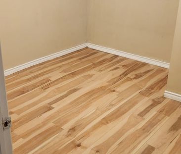 For Lease - 133 Shawnee Circle Unit# Bsmt, Toronto, Ontario - Photo 2