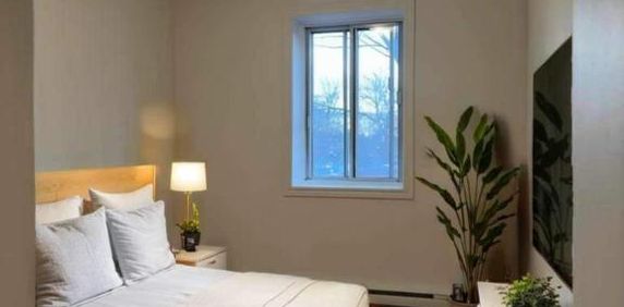 2 CH - 1 SDB - Montréal - $1,335 /mo - Photo 2