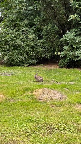 2 Zimmer Wohnung in Neukölln Nachmieter gesucht - Foto 5