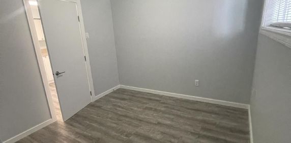 PULSE 6-PLEX - 5 - Photo 2