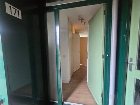 Adelheidstraat 171, Bezuidenhout-West, 2595EV, Den Haag - Photo 2