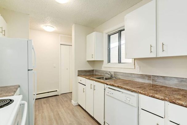 1 Bedroom - Photo 1