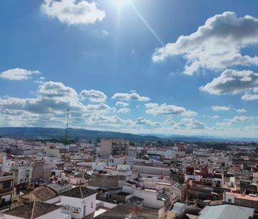 Alzira, Valencian Community 46600 - Photo 2