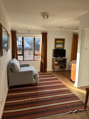 Studio Flat, Carrara Wharf, SW6 - Photo 1