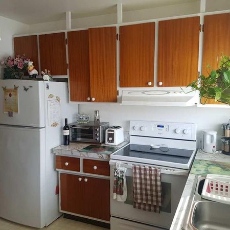 5 1/2 1ER ÉTAGE PERSONNE 50 ANS ET PLUS - Photo 4