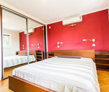 Denevér köz - Fotó 4