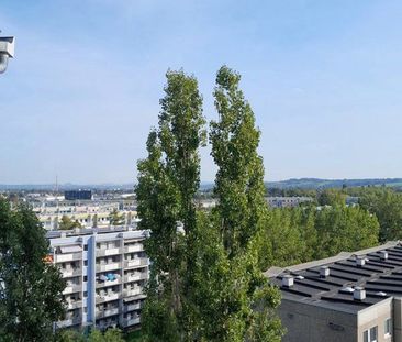 3-Zimmer-Wohnung mit Aussicht in der obersten Etage - Photo 4