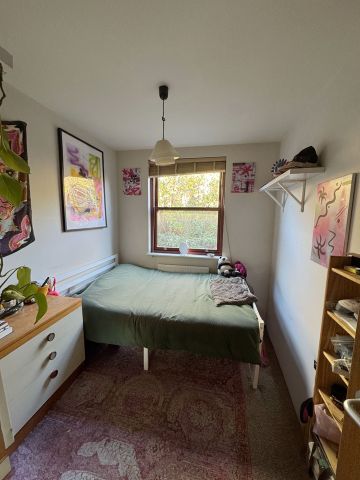 Room in a Shared House, Chelmer Road, E9 - Photo 3