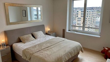 2.5 Zimmer, 80 m², 15. Stock - Foto 4
