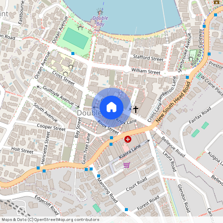 301/16-18 Cross Street, NSW 2028, Double Bay