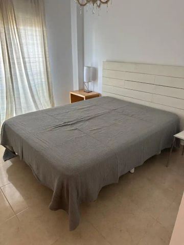 Oliva - Foto 5