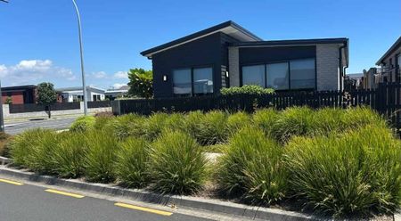 Bronze Delight - Photo 5