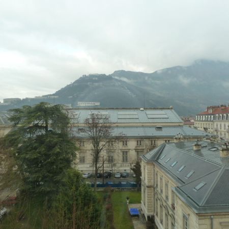 Location Appartement 1 pièce 31m² GRENOBLE 38000 - Photo 3