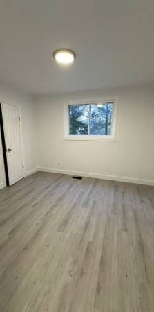 Newly Renovated 3 Bedroom Apartment - Photo 1