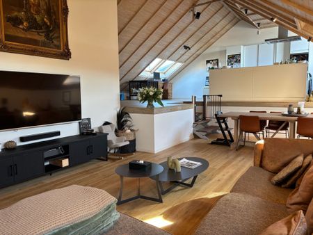 SERSKAMP - Luxueuze loft met groot terras. - Photo 4