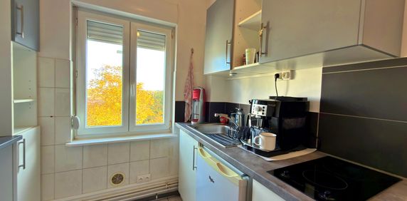 Location Appartement 1 pièce 19m² NANCY 54000 - Photo 2