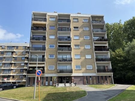 Gerenoveerd appartement met één slaapkamer - Foto 3