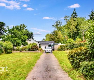 4 bedroom detached house to rent - Photo 6
