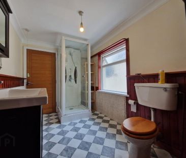 20 Belmont Avenue, Belfast, BT4 3DD - Photo 4