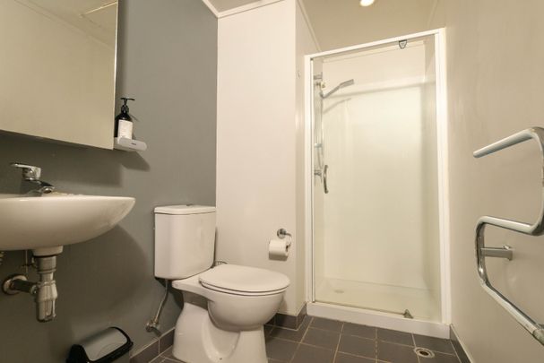 Sunny Furnished Apartment - Photo 1