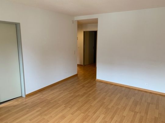 Appartement confortable à Zurich Wipkingen - Foto 1