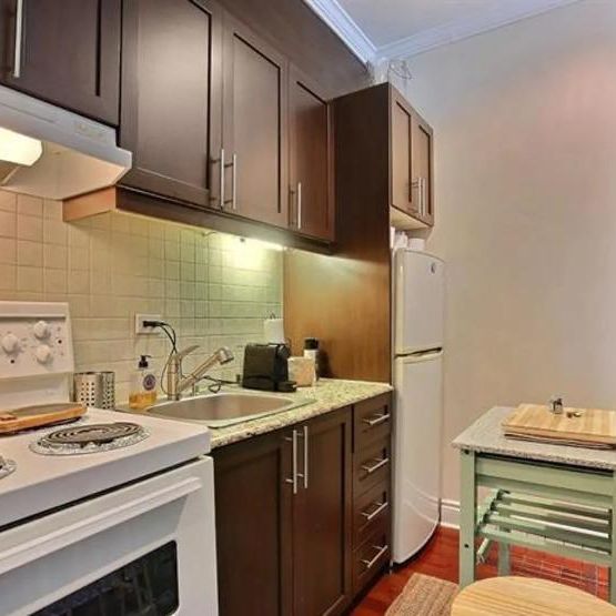MAGNIFIQUE APPARTEMENT 3 1/2 - Photo 1