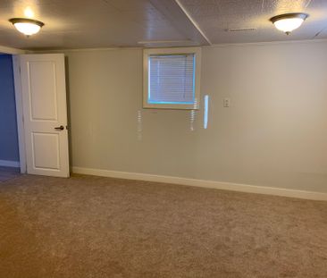 THREE BDRMS HOUSE FOR RENT IN RADISSON HEIGHTS! - Photo 4