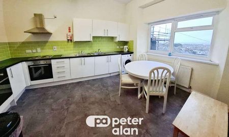 Walter Road, Swansea, SA1 - Photo 5