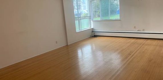 Spacious One Bedroom Plus Den near VGH! - Photo 2