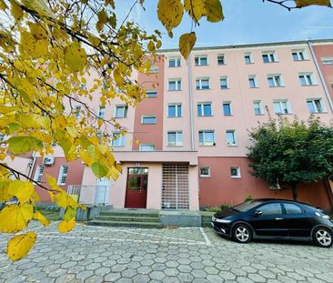 3 pokojowe mieszkanie na Os. Dąbrowszczaków 73.5 m² - Photo 3