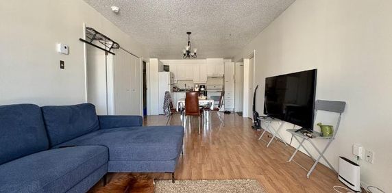 Appartement 3 ½ à louer Sainte-Foy / Sillery juillet 2026 - Photo 2