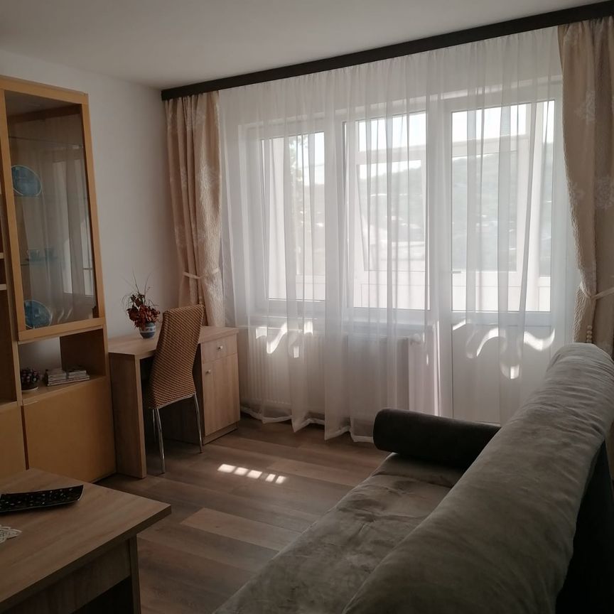 Apartament cu 2 camere, DECOMANDAT, zona Alexandru Cel Bun - Fotografie 1